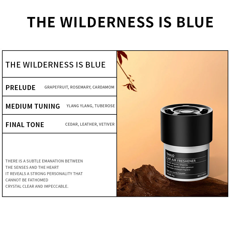 Single Trial Car Freshener for Long-Lasting Freshness and Odor Elimination